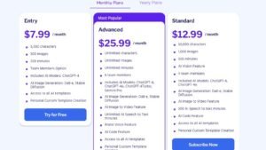 Writetic Pricing