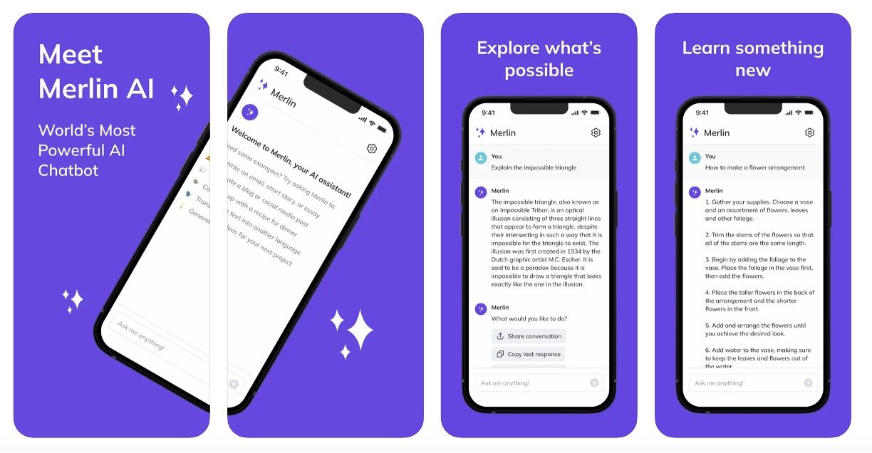 Merlin AI Chatbot