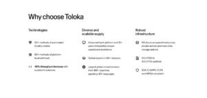 Toloka AI