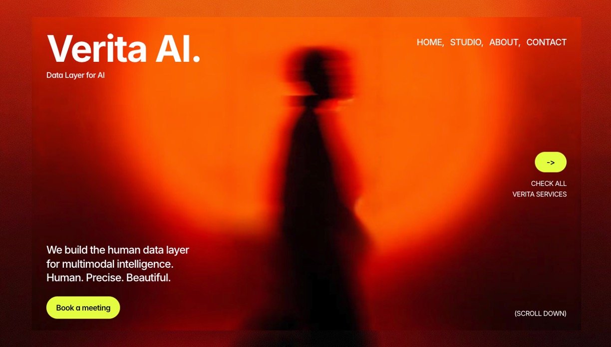 Verita AI