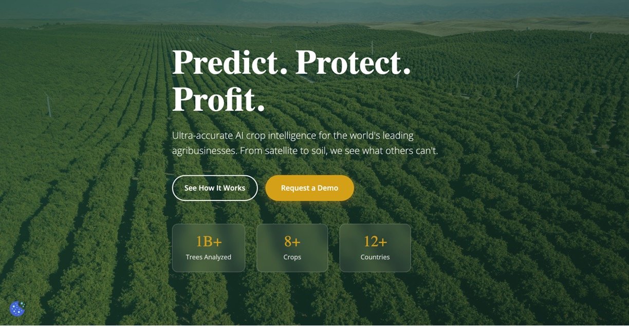 SeeTree AI