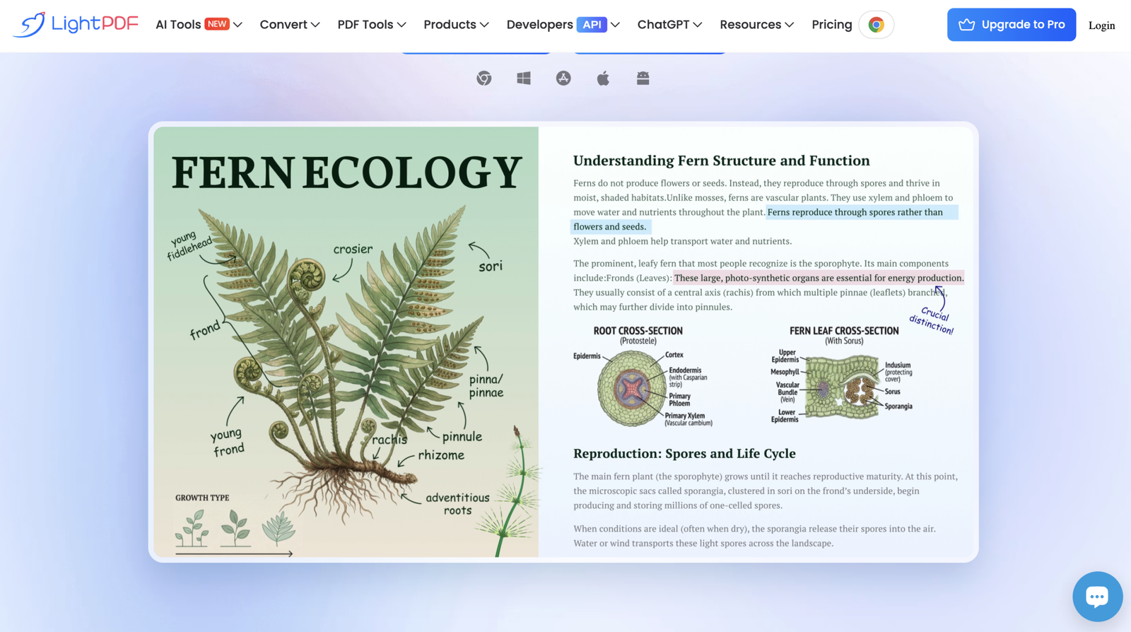 Listing cover image